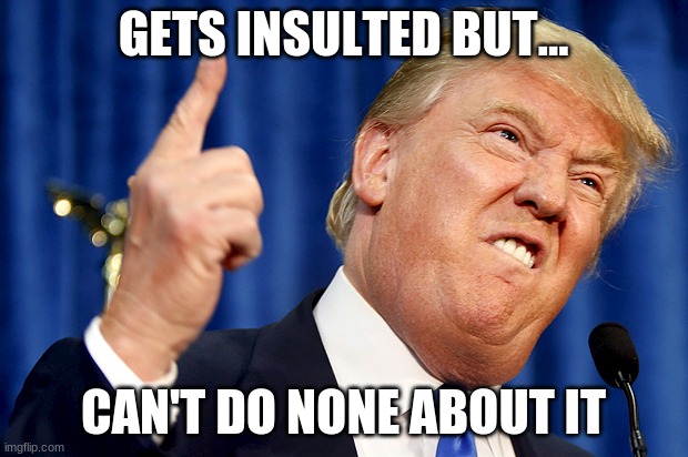 Donald Trump | GETS INSULTED BUT... CAN'T DO NONE ABOUT IT | image tagged in donald trump | made w/ Imgflip meme maker