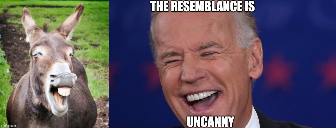 Jackass-Biden | THE RESEMBLANCE IS; UNCANNY | image tagged in president | made w/ Imgflip meme maker