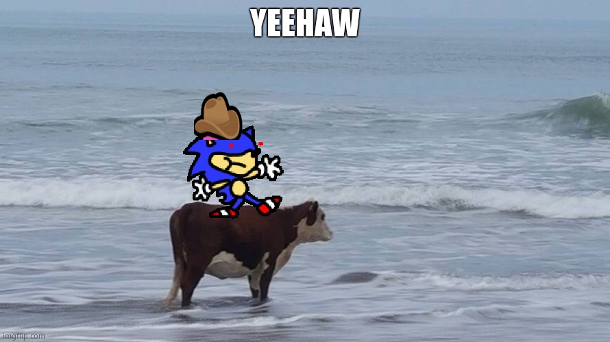 Vaca en la playa | YEEHAW | image tagged in vaca en la playa | made w/ Imgflip meme maker