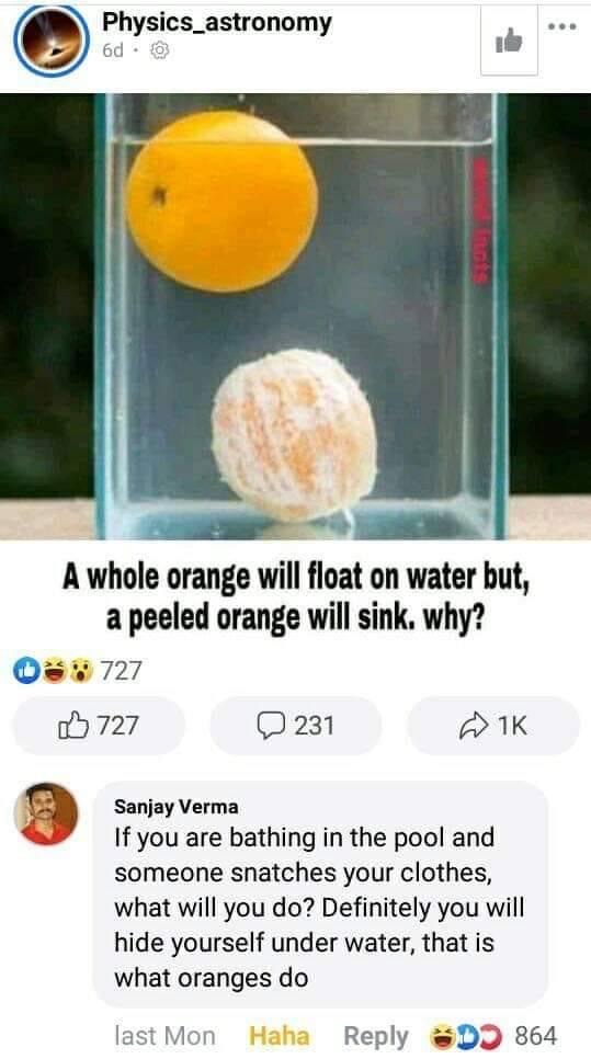 A whole orange will float Blank Meme Template