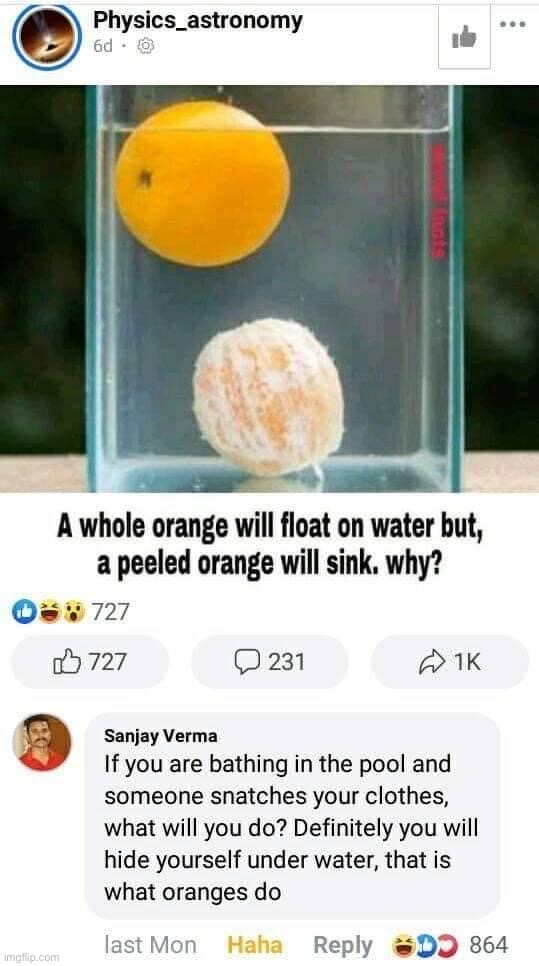A whole orange will float | image tagged in a whole orange will float | made w/ Imgflip meme maker