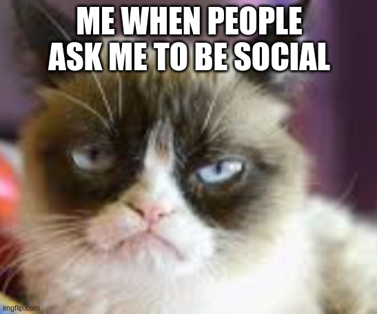 Me be like....... | ME WHEN PEOPLE ASK ME TO BE SOCIAL | image tagged in funny | made w/ Imgflip meme maker