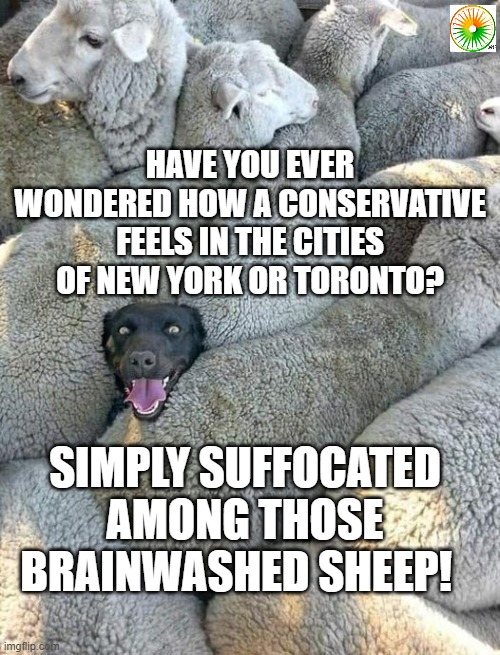 politics | HAVE YOU EVER WONDERED HOW A CONSERVATIVE FEELS IN THE CITIES OF NEW YORK OR TORONTO? SIMPLY SUFFOCATED AMONG THOSE BRAINWASHED SHEEP! | image tagged in political meme | made w/ Imgflip meme maker