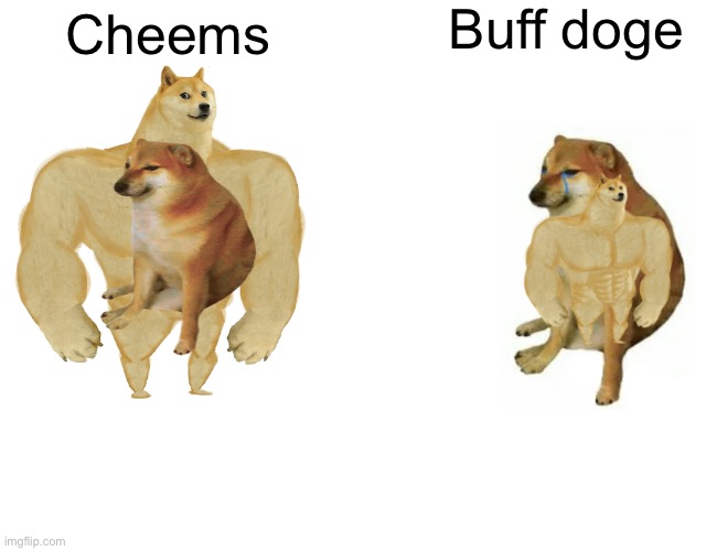 SCP buff doge vs cheems Memes & GIFs - Imgflip