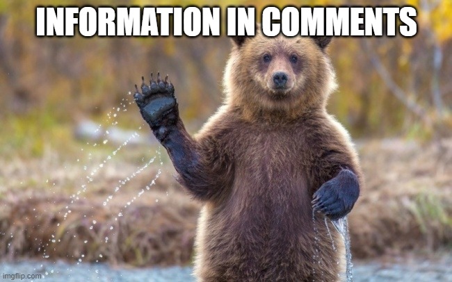 sorry. | INFORMATION IN COMMENTS | image tagged in bye bye bear | made w/ Imgflip meme maker