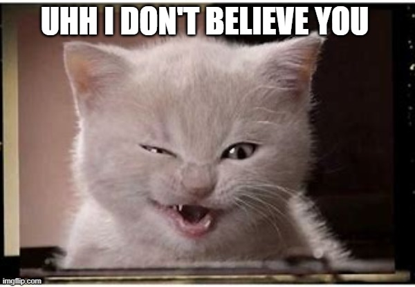 UHH I DON'T BELIEVE YOU | image tagged in staring cat | made w/ Imgflip meme maker