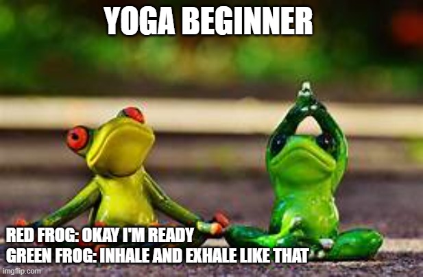 YOGA BEGINNER; RED FROG: OKAY I'M READY
GREEN FROG: INHALE AND EXHALE LIKE THAT | image tagged in animal pose | made w/ Imgflip meme maker
