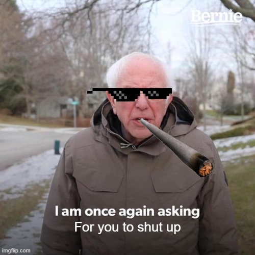 Bernie I Am Once Again Asking For Your Support | For you to shut up | image tagged in memes,bernie i am once again asking for your support | made w/ Imgflip meme maker