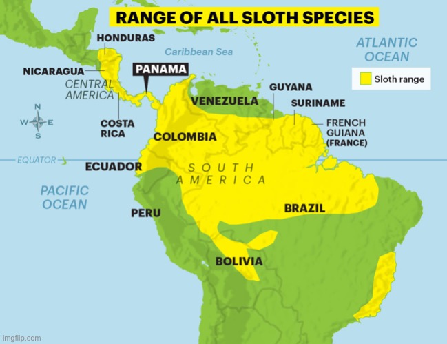 Range of all sloth species | image tagged in range of all sloth species | made w/ Imgflip meme maker