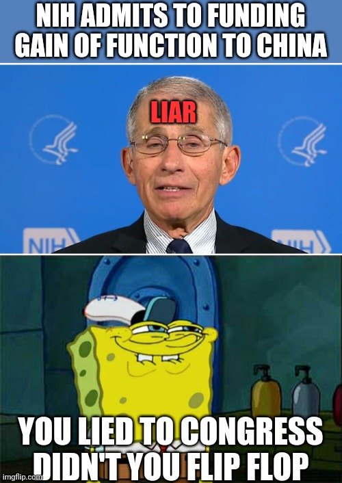 NIH ADMITS TO FUNDING GAIN OF FUNCTION TO CHINA; LIAR; YOU LIED TO CONGRESS DIDN'T YOU FLIP FLOP | image tagged in dr fauci,memes,don't you squidward | made w/ Imgflip meme maker