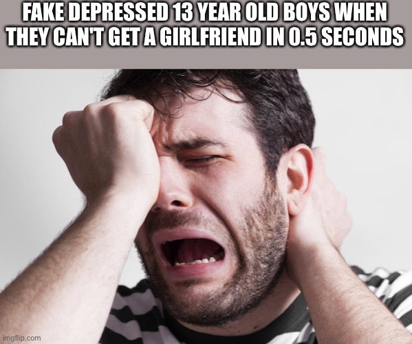 Guy whines at Cat | FAKE DEPRESSED 13 YEAR OLD BOYS WHEN THEY CAN'T GET A GIRLFRIEND IN 0.5 SECONDS | image tagged in guy whines at cat | made w/ Imgflip meme maker