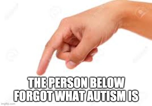 the person below | THE PERSON BELOW FORGOT WHAT AUTISM IS | image tagged in the person below | made w/ Imgflip meme maker