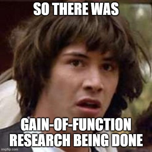 Conspiracy Keanu Meme | SO THERE WAS GAIN-OF-FUNCTION RESEARCH BEING DONE | image tagged in memes,conspiracy keanu | made w/ Imgflip meme maker