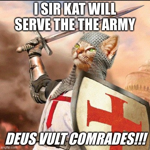 "My league" *kneels ?* | I SIR KAT WILL SERVE THE THE ARMY; DEUS VULT COMRADES!!! | image tagged in crusader cat | made w/ Imgflip meme maker