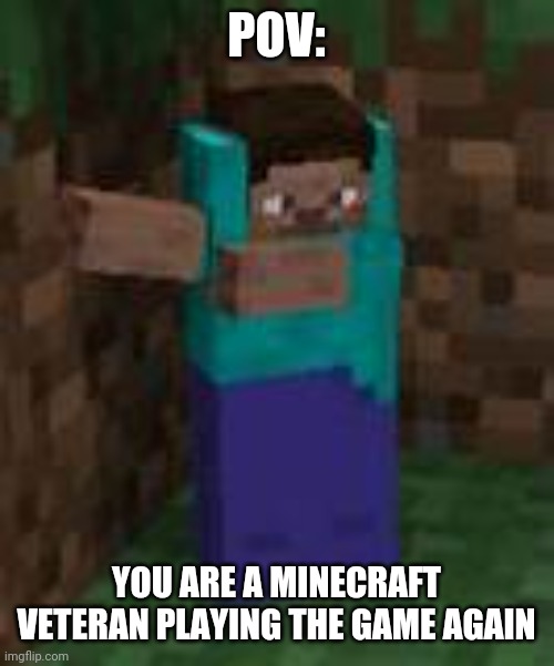 Minecraft | POV:; YOU ARE A MINECRAFT VETERAN PLAYING THE GAME AGAIN | image tagged in minecraft,video games,gaming | made w/ Imgflip meme maker
