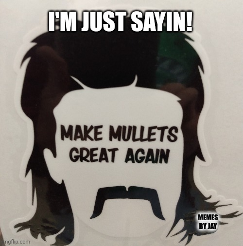 Who's with me? | I'M JUST SAYIN! MEMES BY JAY | image tagged in mullet,hair,80s | made w/ Imgflip meme maker