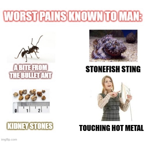 most painful things known to man | TOUCHING HOT METAL | image tagged in most painful things known to man | made w/ Imgflip meme maker