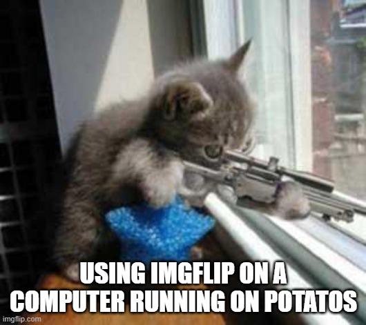 CatSniper | USING IMGFLIP ON A COMPUTER RUNNING ON POTATOS | image tagged in catsniper | made w/ Imgflip meme maker