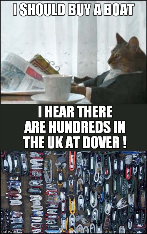 This Cat Wants A Boat | I SHOULD BUY A BOAT; I HEAR THERE ARE HUNDREDS IN THE UK AT DOVER ! | image tagged in cats,uk,dover,dingies | made w/ Imgflip meme maker