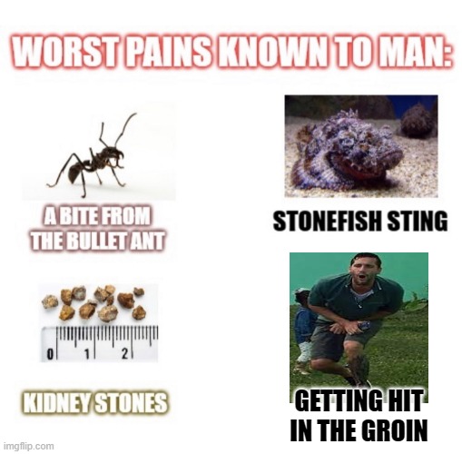 most painful things known to man | GETTING HIT IN THE GROIN | image tagged in most painful things known to man | made w/ Imgflip meme maker