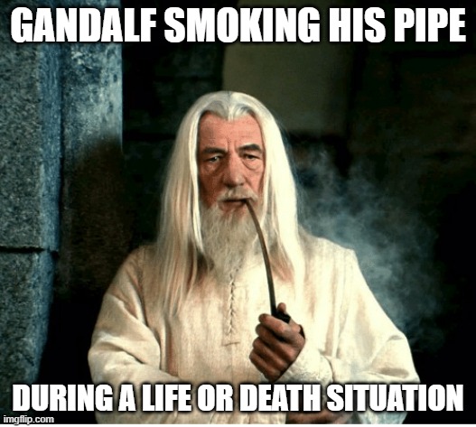 Gandalf | GANDALF SMOKING HIS PIPE; DURING A LIFE OR DEATH SITUATION | image tagged in memes,funny,gandalfbeingcalm | made w/ Imgflip meme maker
