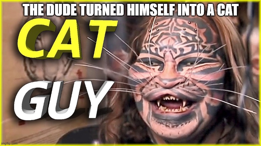 THE DUDE TURNED HIMSELF INTO A CAT | made w/ Imgflip meme maker