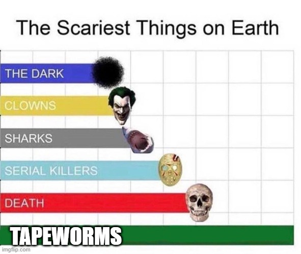 scariest things in the world | TAPEWORMS | image tagged in scariest things in the world | made w/ Imgflip meme maker