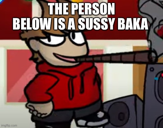 Tord smoking a big fat blunt | THE PERSON BELOW IS A SUSSY BAKA | image tagged in tord smoking a big fat blunt | made w/ Imgflip meme maker