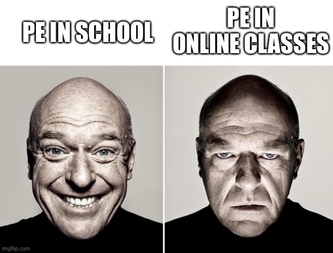PE |  PE IN ONLINE CLASSES; PE IN SCHOOL | image tagged in dean norris's reaction | made w/ Imgflip meme maker