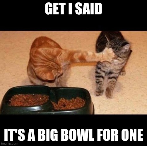 cats share food |  GET I SAID; IT'S A BIG BOWL FOR ONE | image tagged in cats share food | made w/ Imgflip meme maker