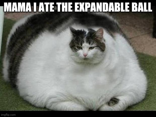 fat cat 2 |  MAMA I ATE THE EXPANDABLE BALL | image tagged in fat cat 2 | made w/ Imgflip meme maker