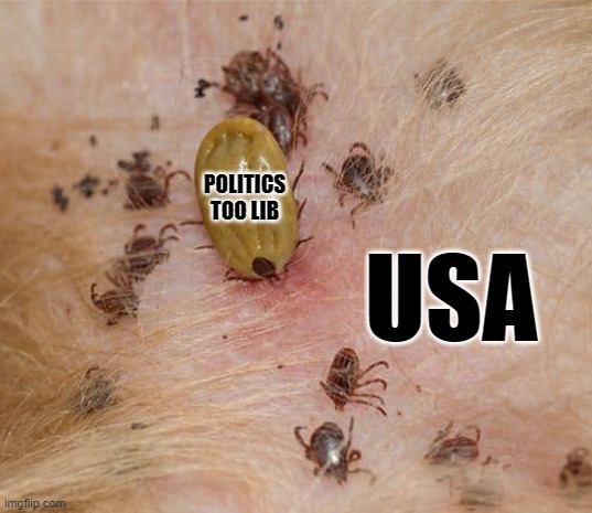 POLITICS TOO LIB USA | made w/ Imgflip meme maker
