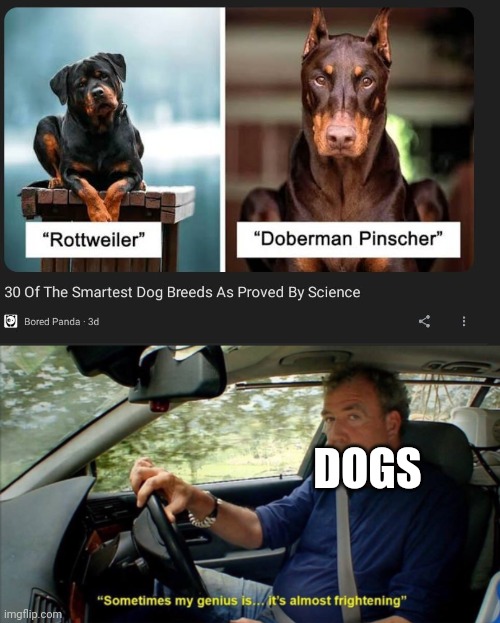 DOGS | image tagged in sometimes my genius is it's almost frightening | made w/ Imgflip meme maker