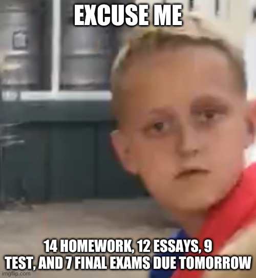 why | EXCUSE ME; 14 HOMEWORK, 12 ESSAYS, 9 TEST, AND 7 FINAL EXAMS DUE TOMORROW | image tagged in concerned child,school,why | made w/ Imgflip meme maker