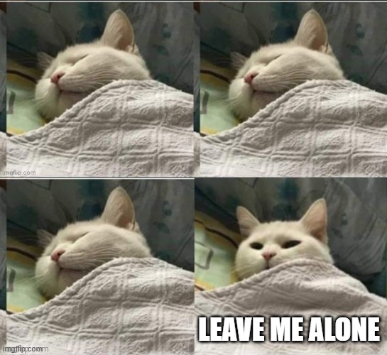Cat sleeping uder blanket blank | LEAVE ME ALONE | image tagged in cat sleeping uder blanket blank | made w/ Imgflip meme maker