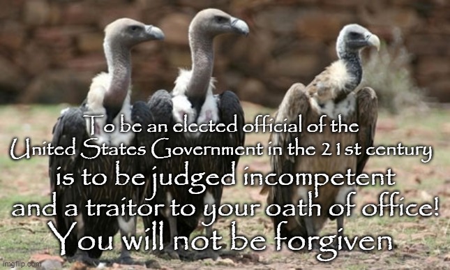 Politicians | To be an elected official of the United States Government in the 21st century; is to be judged incompetent and a traitor to your oath of office! You will not be forgiven | image tagged in vulture politicians | made w/ Imgflip meme maker