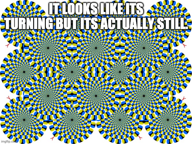 Optical illusion |  IT LOOKS LIKE ITS TURNING BUT ITS ACTUALLY STILL. | image tagged in optical illusion,weird | made w/ Imgflip meme maker