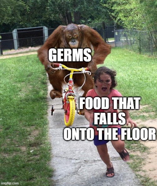 Orangutan chasing girl on a tricycle | GERMS; FOOD THAT FALLS ONTO THE FLOOR | image tagged in orangutan chasing girl on a tricycle | made w/ Imgflip meme maker