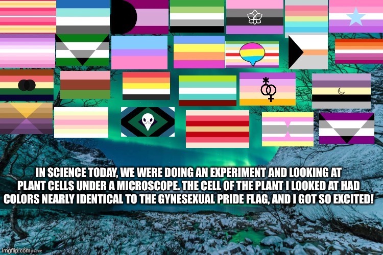 Northern Lights Announcement | IN SCIENCE TODAY, WE WERE DOING AN EXPERIMENT AND LOOKING AT PLANT CELLS UNDER A MICROSCOPE. THE CELL OF THE PLANT I LOOKED AT HAD COLORS NEARLY IDENTICAL TO THE GYNESEXUAL PRIDE FLAG, AND I GOT SO EXCITED! | image tagged in northern lights announcement | made w/ Imgflip meme maker