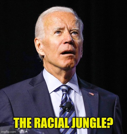 Joe Biden | THE RACIAL JUNGLE? | image tagged in joe biden | made w/ Imgflip meme maker