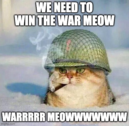War Cat |  WE NEED TO WIN THE WAR MEOW; WARRRRR MEOWWWWWWW | image tagged in war cat | made w/ Imgflip meme maker