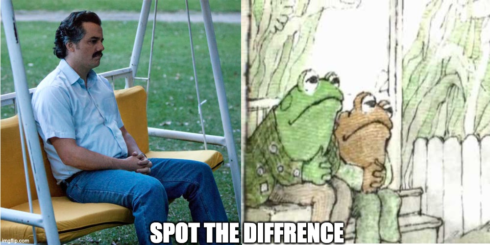 can u spot the diffrence? :0 | SPOT THE DIFFRENCE | image tagged in depression,toad,frog | made w/ Imgflip meme maker