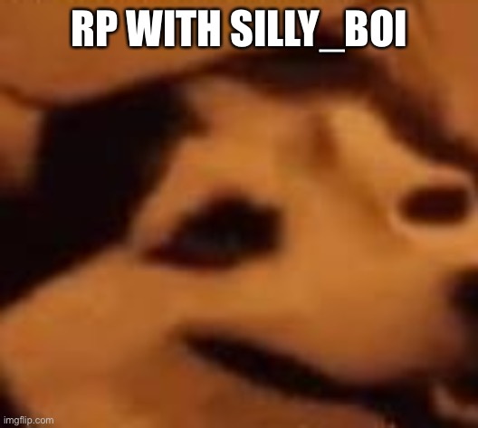 silly doggo | RP WITH SILLY_BOI | image tagged in silly doggo | made w/ Imgflip meme maker