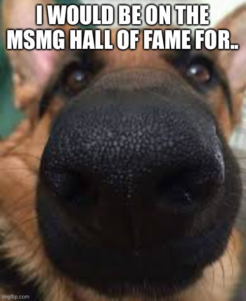 (Trolling) | I WOULD BE ON THE MSMG HALL OF FAME FOR.. | image tagged in german shepherd but funni | made w/ Imgflip meme maker