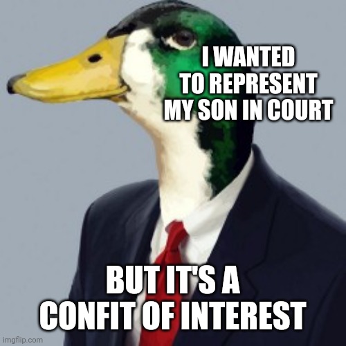 Duck Lawyer | I WANTED TO REPRESENT MY SON IN COURT; BUT IT'S A CONFIT OF INTEREST | image tagged in lol so funny,funny memes | made w/ Imgflip meme maker