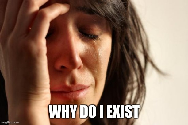 First World Problems Meme | WHY DO I EXIST | image tagged in memes,first world problems | made w/ Imgflip meme maker