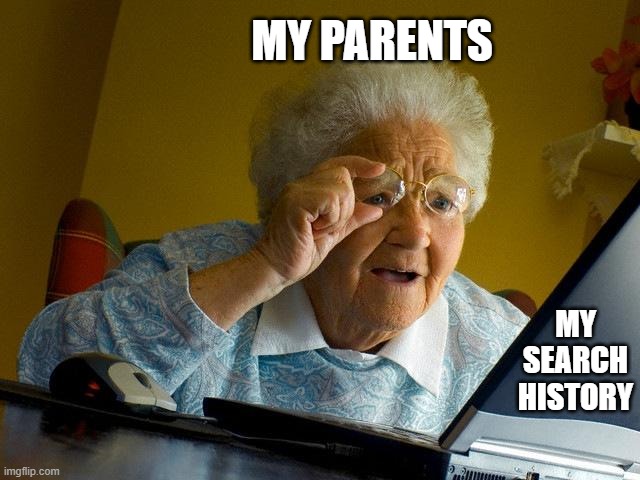 Grandma Finds The Internet | MY PARENTS; MY SEARCH HISTORY | image tagged in memes,grandma finds the internet | made w/ Imgflip meme maker