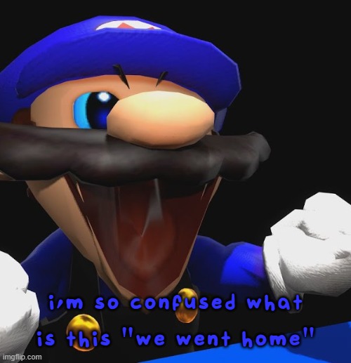 SMG3 Happi | i'm so confused what is this "we went home" | image tagged in smg3 happi | made w/ Imgflip meme maker