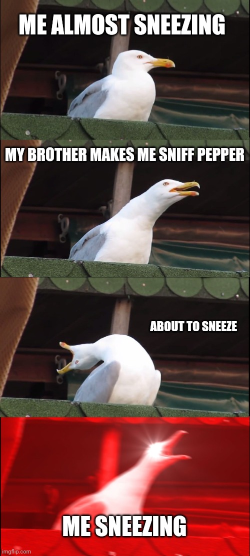 Inhaling Seagull | ME ALMOST SNEEZING; MY BROTHER MAKES ME SNIFF PEPPER; ABOUT TO SNEEZE; ME SNEEZING | image tagged in memes,inhaling seagull | made w/ Imgflip meme maker