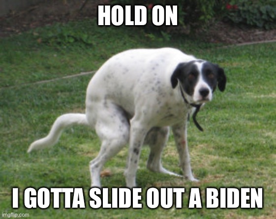 dog pooping intensely | HOLD ON; I GOTTA SLIDE OUT A BIDEN | image tagged in dog pooping intensely | made w/ Imgflip meme maker